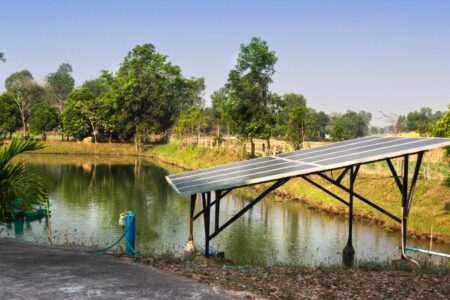 Aquaponie : les meilleures pompes solaires pour votre bassin