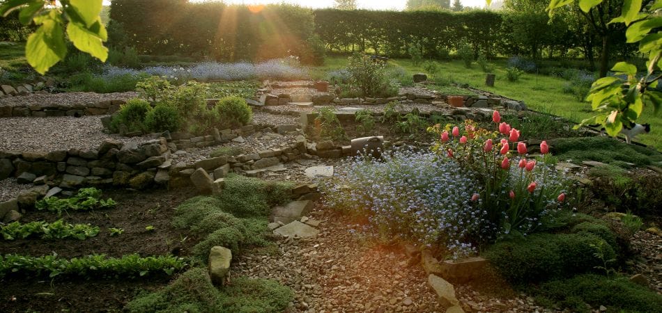 Transformer son jardin en permaculture