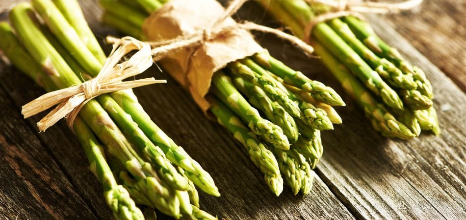 Quand planter des asperges