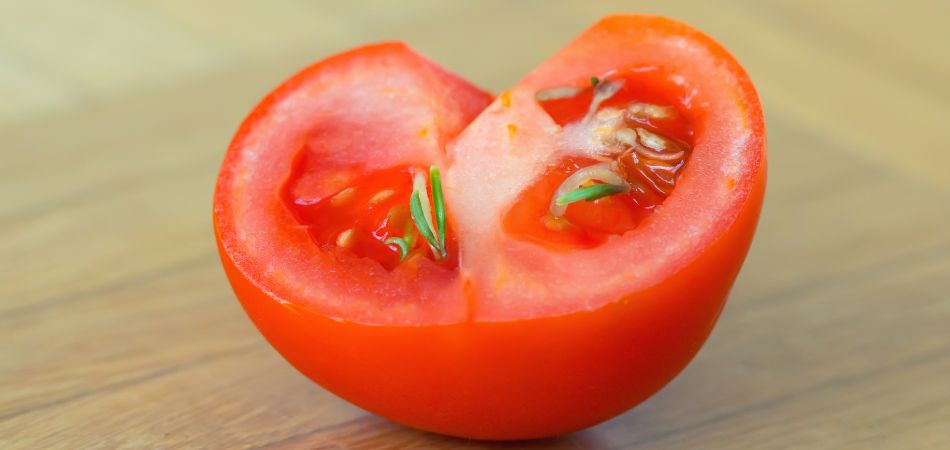 Choisissez vos graines de tomate pour votre potager