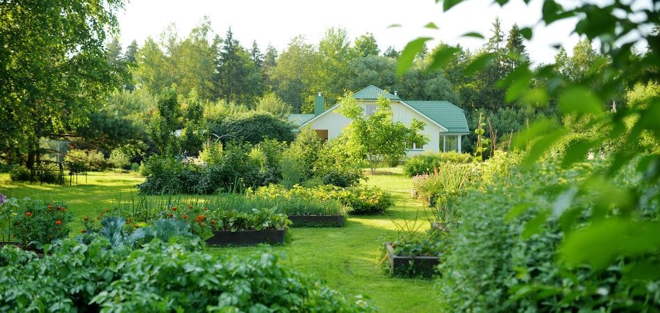 Permaculture et Bâtiment Durable