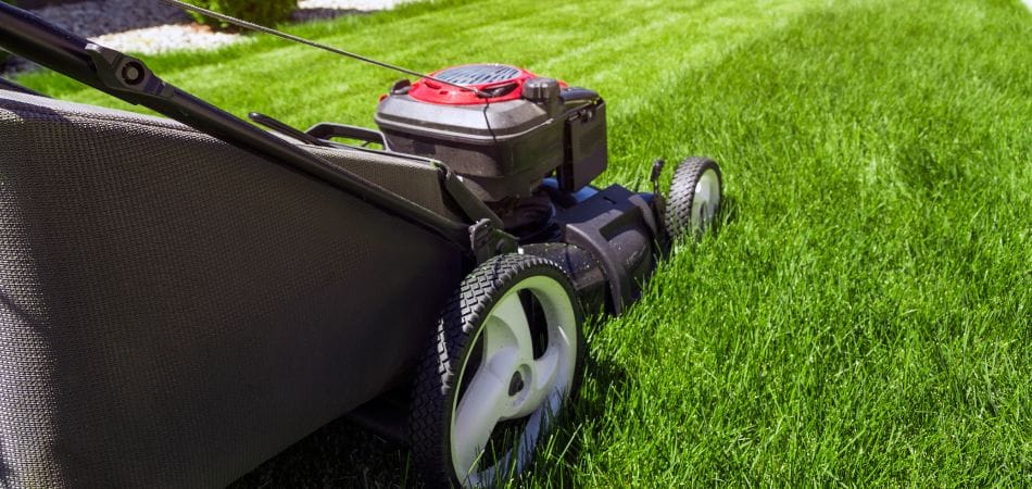 Choix de Tondeuses pour Grands Espaces : Puissance et Rendement